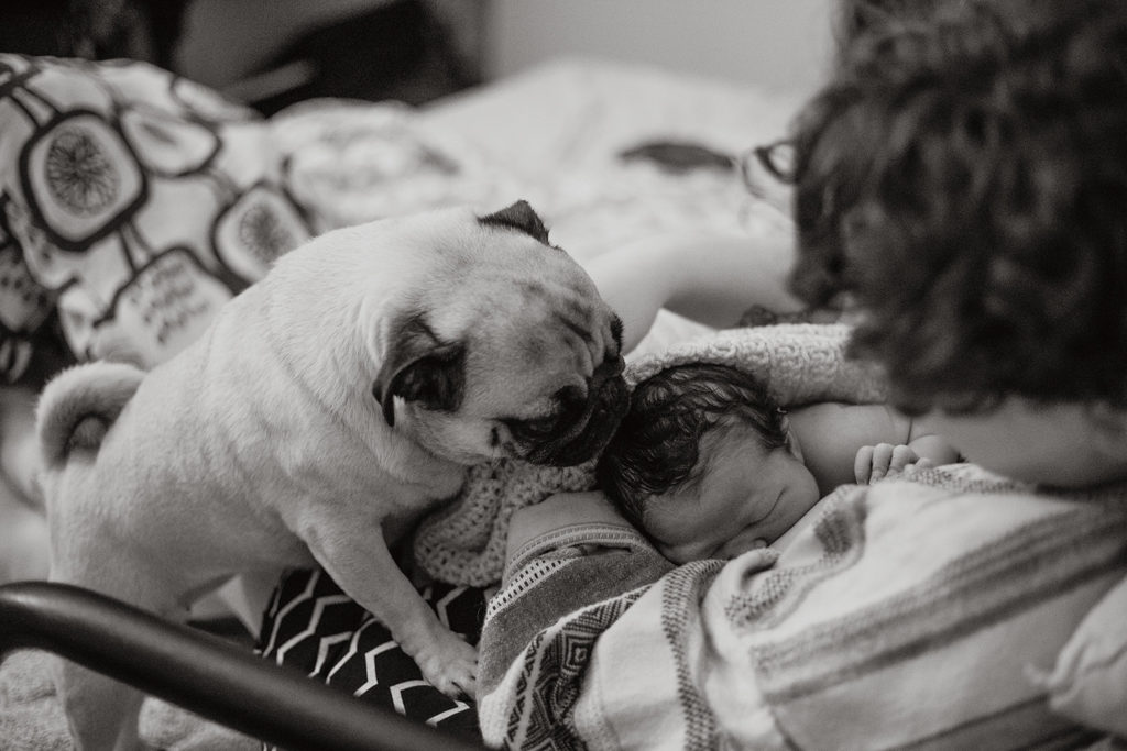 Reportage d'accouchement collectif carmin